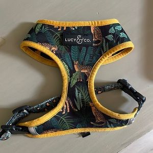 Lucy & Co Harness